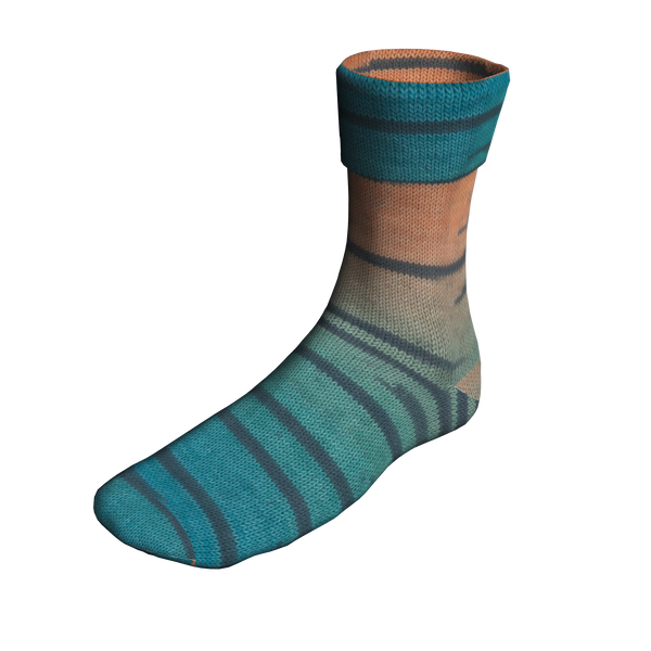 Euphyllia Lace Socks | Project Kit