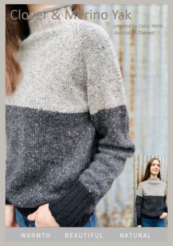 CY298 Two Tone Raglan Sweater (e-pattern)